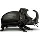 Illustration for article titled Bizarre Furniture Inspired by Animals and Bugs